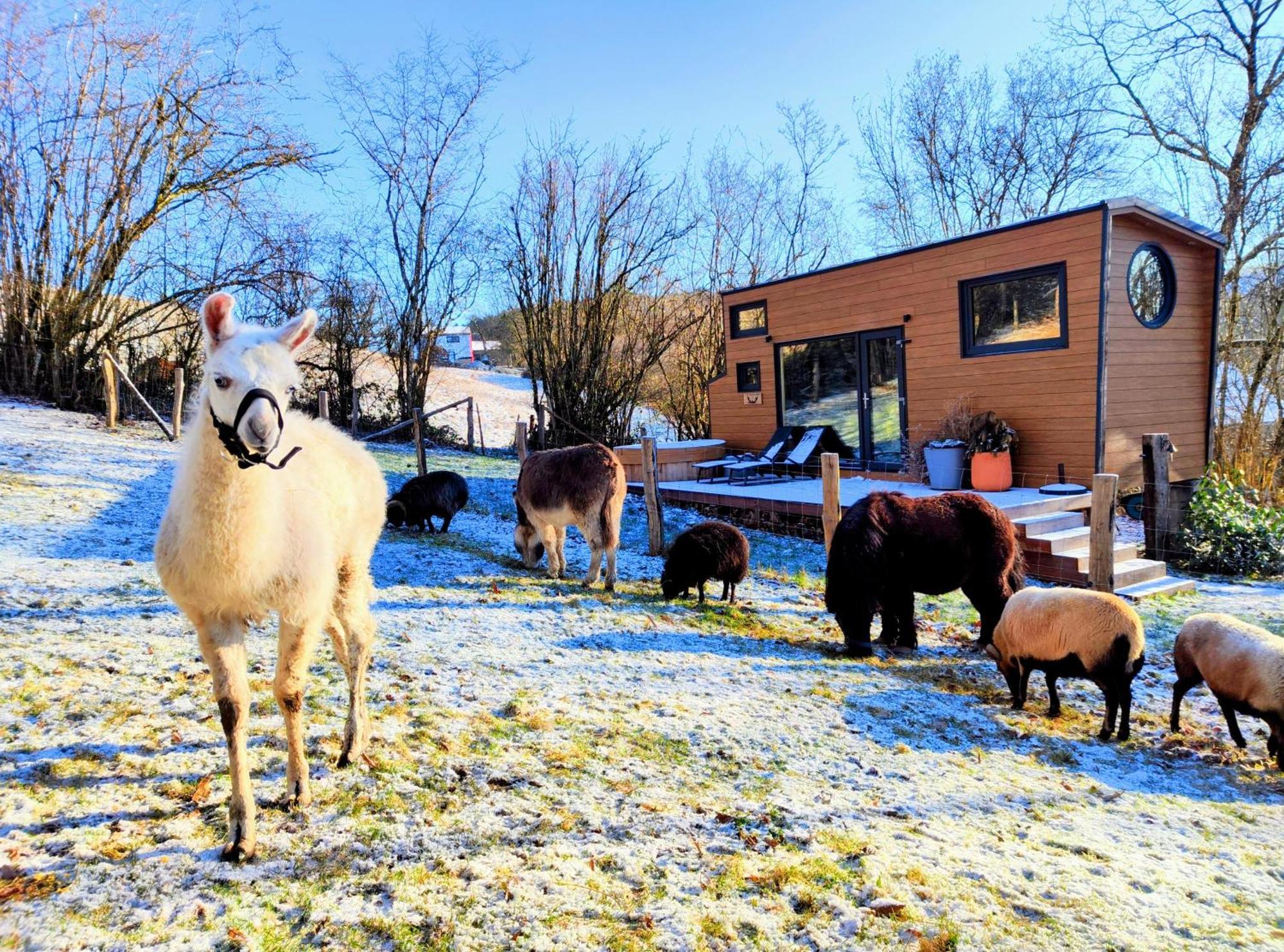 La Mini Maison Du Lama Libin Kültér fotó
